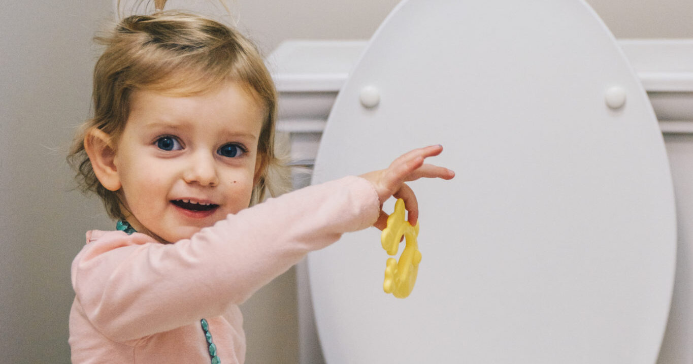 Featured image for “Pro Tips for Clogged Toilets￼”