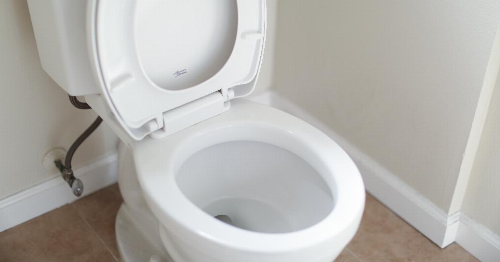 Featured image for “Help – My Toilet Is Clogged – What Can I Do?”